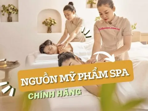 Nguồn mỹ phẩm cho spa