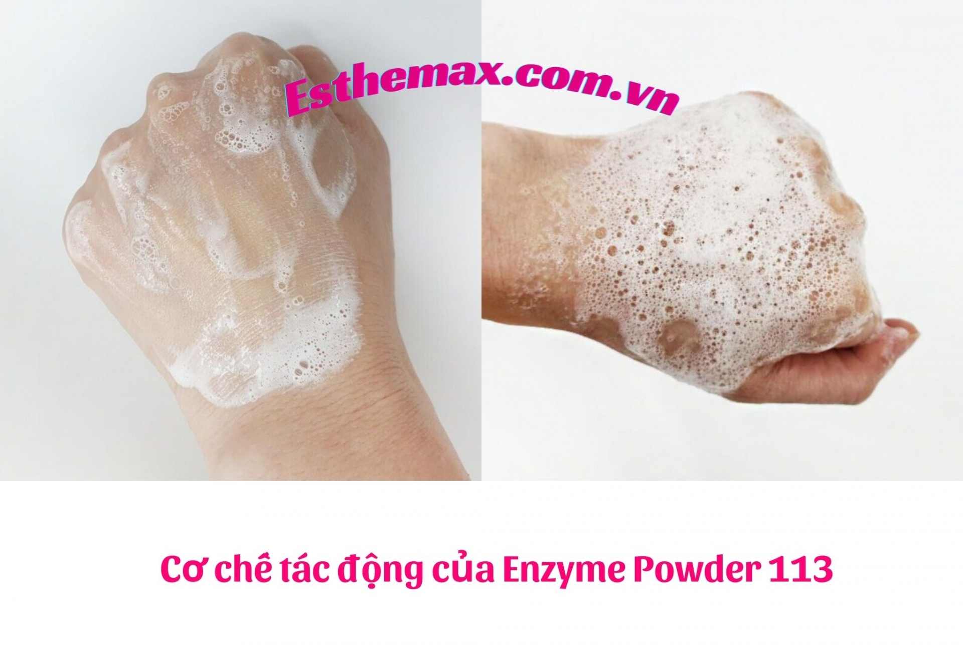 Cơ chế tác động của Enzyme Powder Esthemax 113