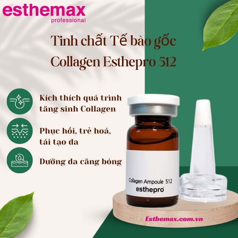 Công dụng của Collagen Esthemax 512 Ampoule