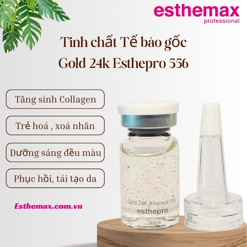 Công dụng của Tinh chất Esthemax Gold 24K 556