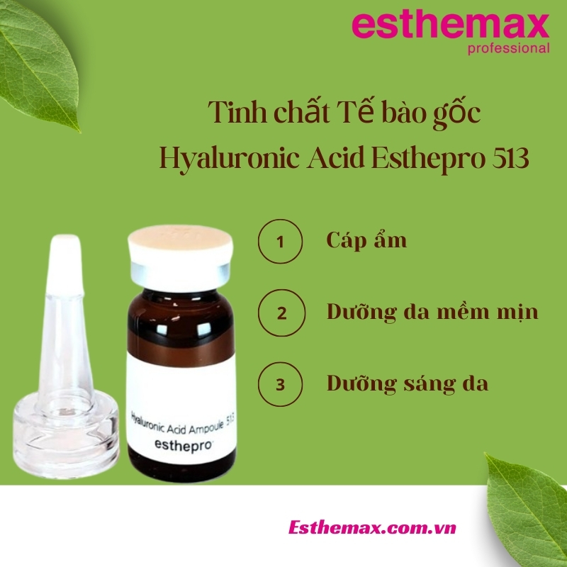 Tinh chất Hyaluronic Acid Esthemax 513 